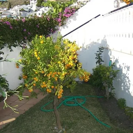 Capistrano1