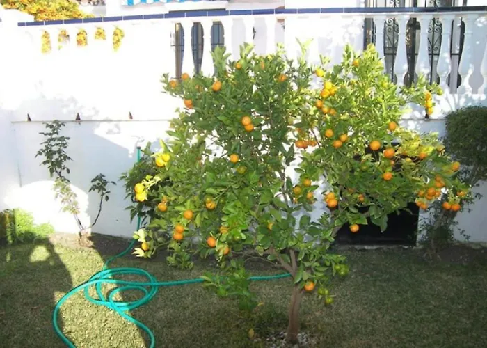 Capistrano1 * Nerja